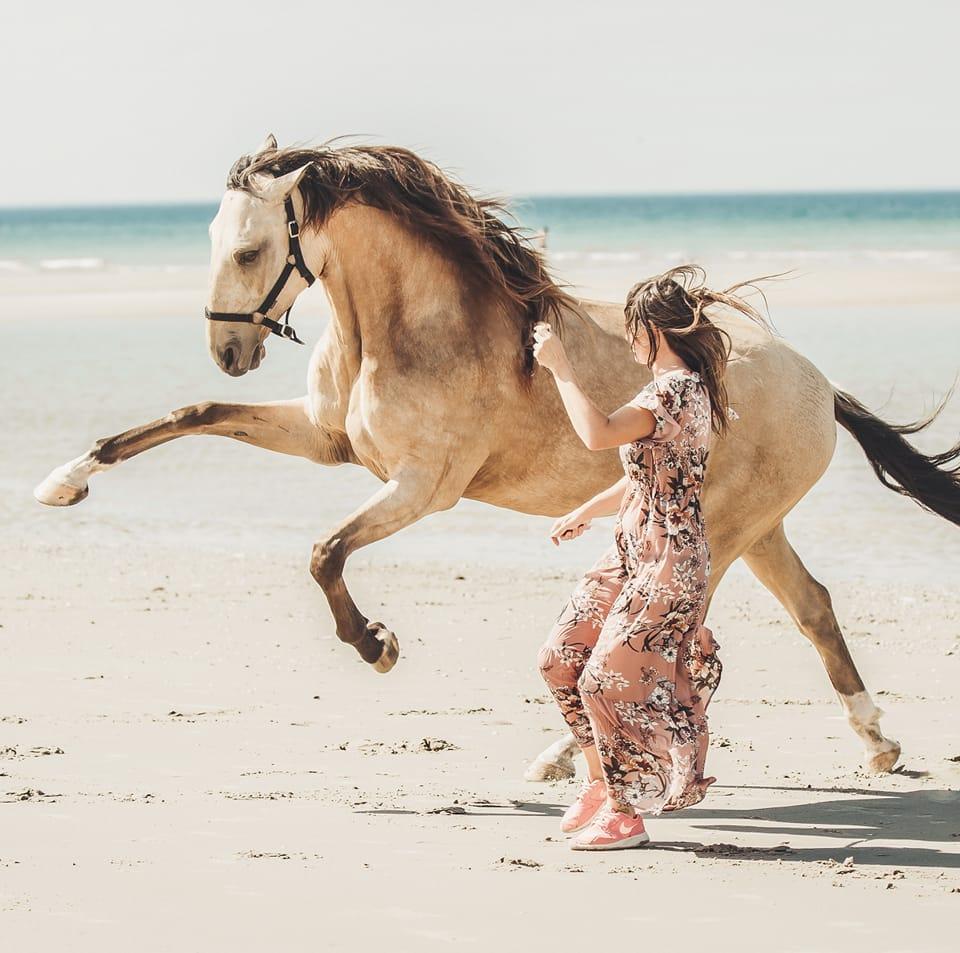 Travail du cheval en liberté avec Camille El Gorri