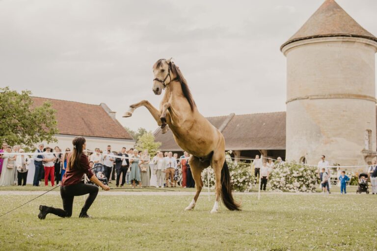 Camille El Gorri propose des spectacles équestres