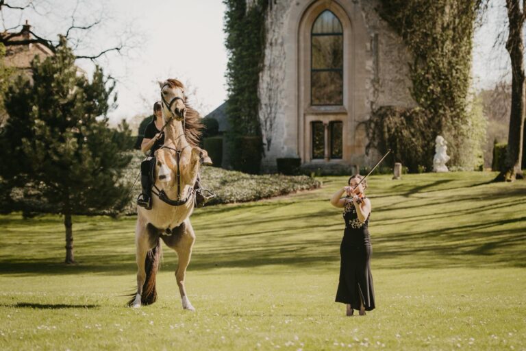 Spectacle équestre avec violon