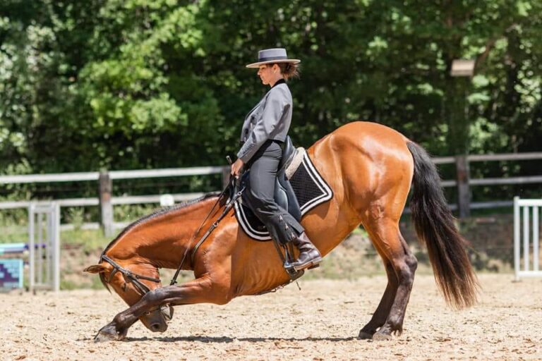 Révérence à cheval